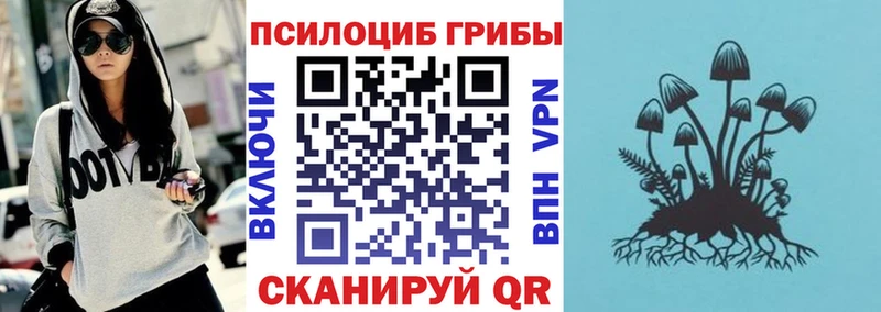 Галлюциногенные грибы мицелий  цена наркотик  Фатеж 
